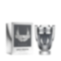 Invictus Platinum Eau de Parfum for Men (sku 34)